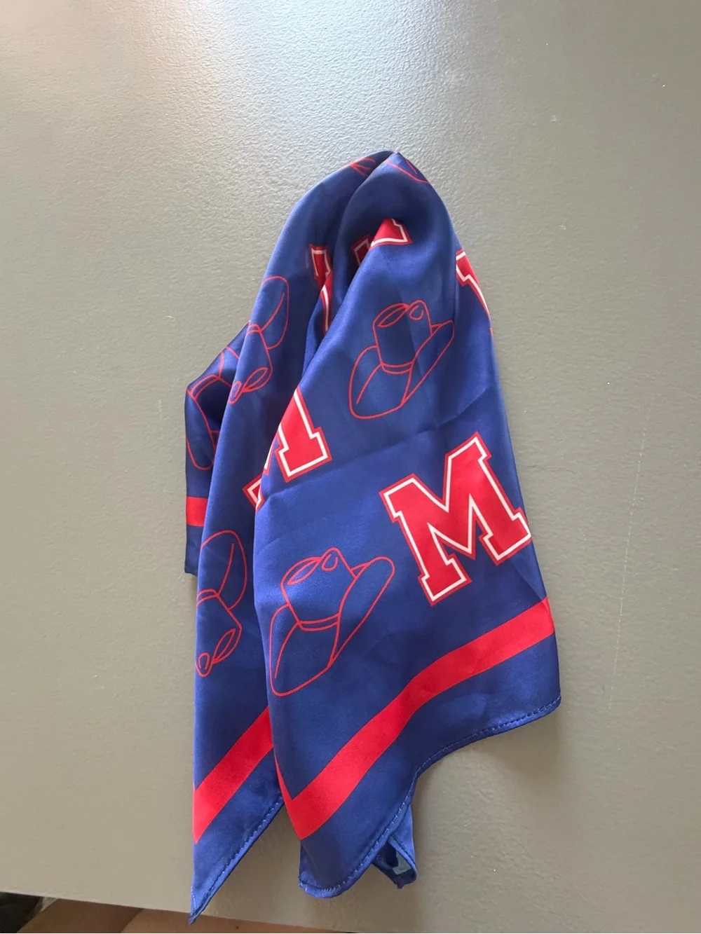 Ole Miss Red and Blue Scarf